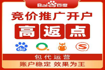 百度竞价运营的挑战与机遇：成功案例探讨